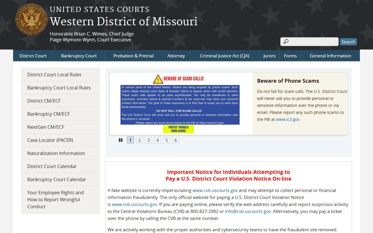 Johnson County Circuit Court records and Western District of Missouri federal access